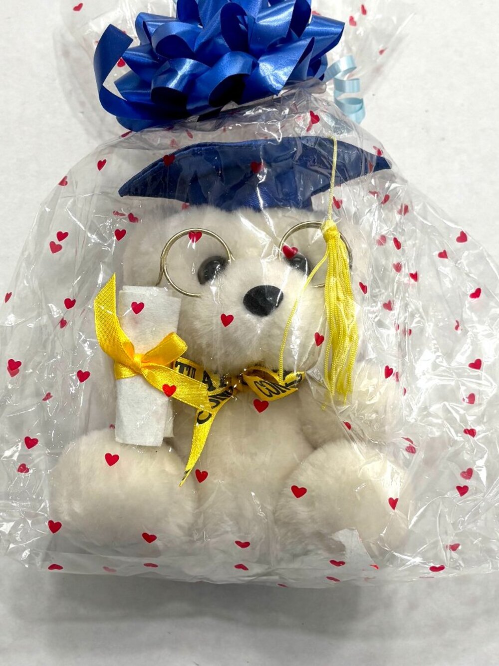 NWT Graduation White Teddy Bear Plush
